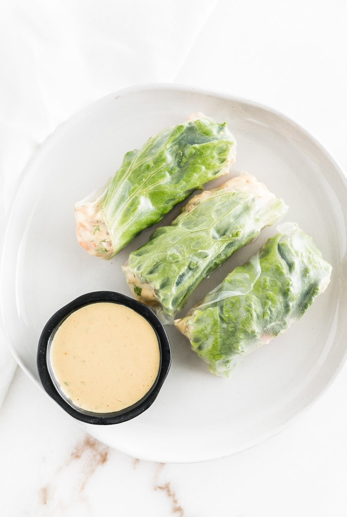 Thai peanut chicken salad spring rolls on a white plate with dipping sauce.