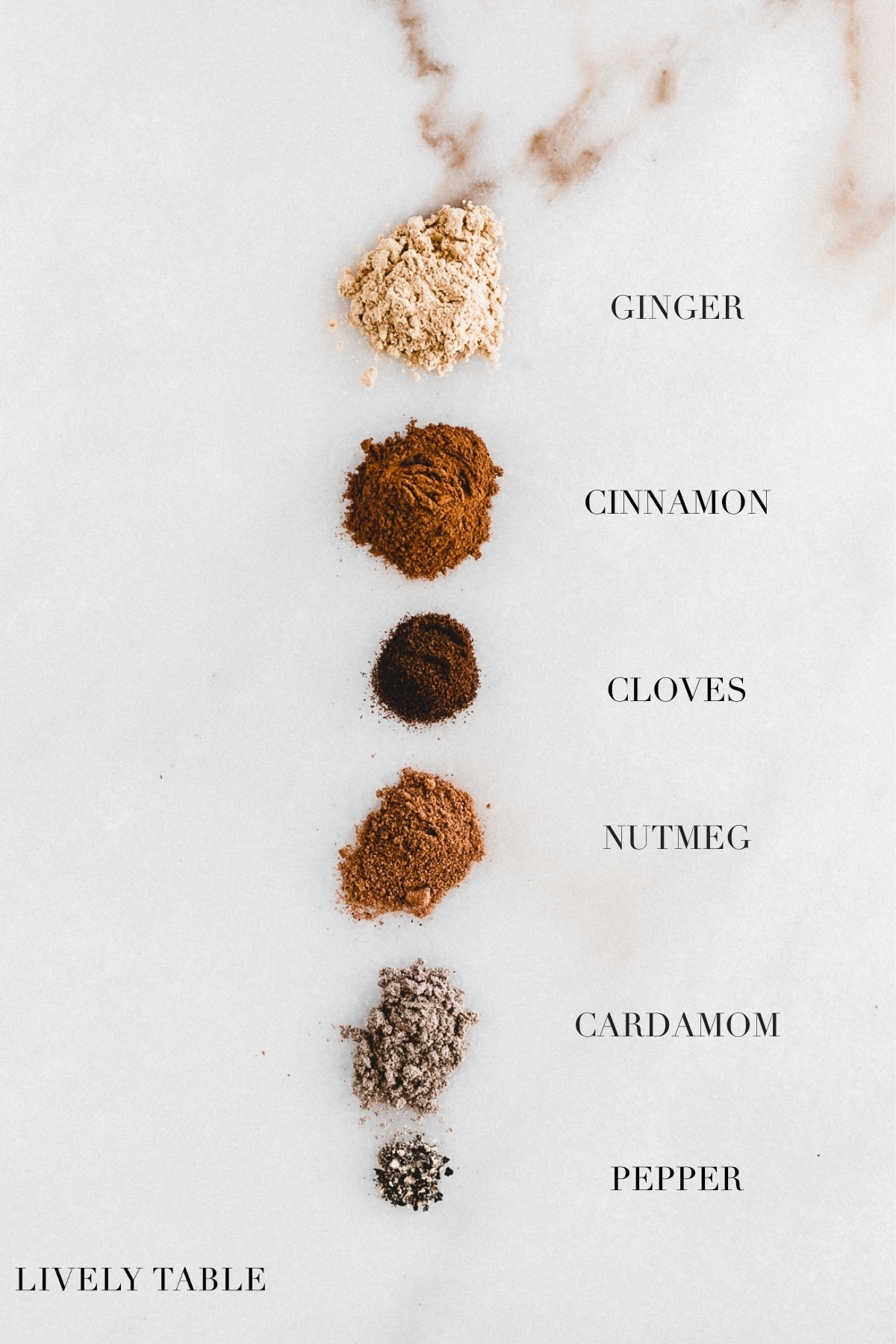 A simple recipe for a delicious chai spice blend that's perfect for tea, baking and other recipes!