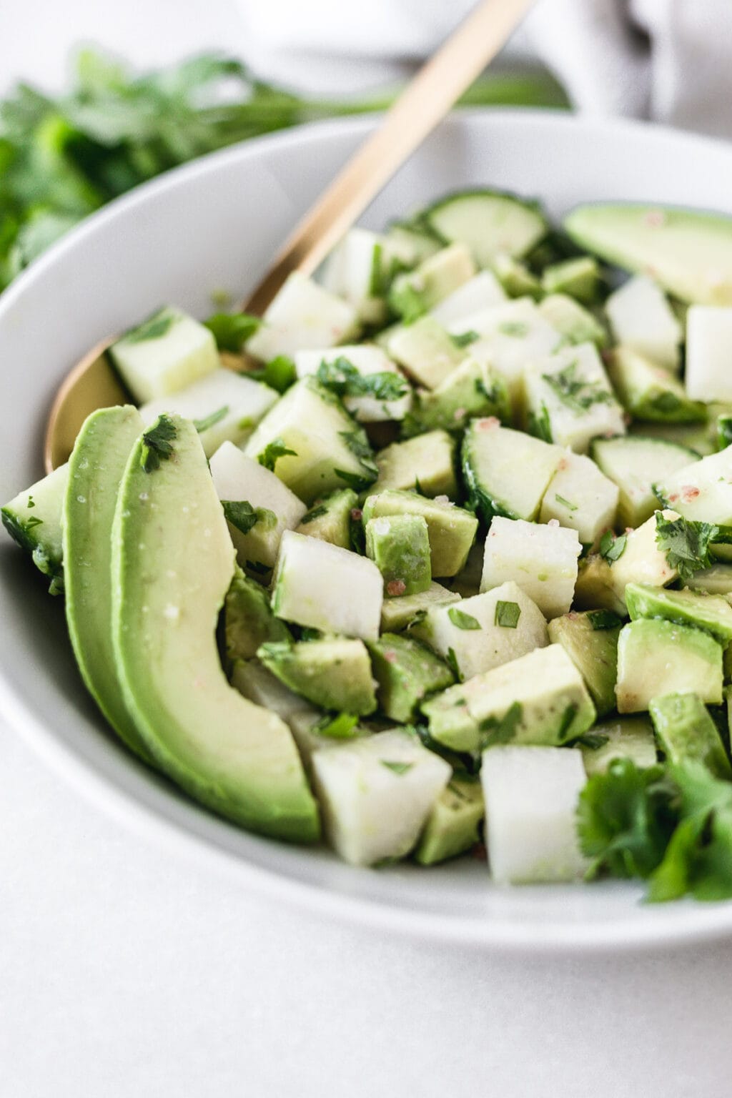 Avocado Cucumber Jicama Salad Lively Table