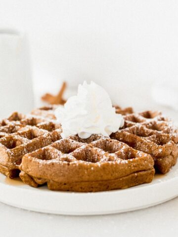 a gingerbread waffle on a white plate topped with powdered sugar and whipped cream.