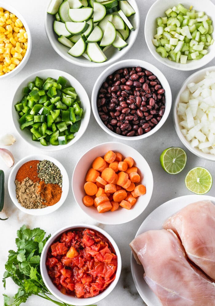 overhead view of ingredients needed for slow cooker chicken tortilla soup.