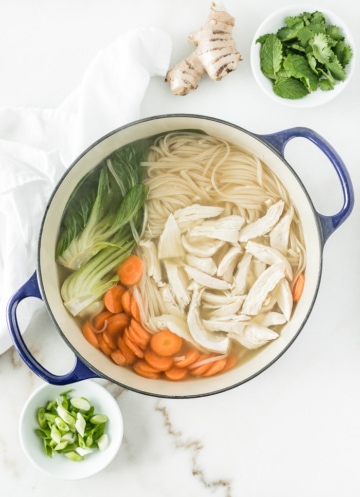 Ginger Lemongrass Chicken Noodle Soup - Lively Table