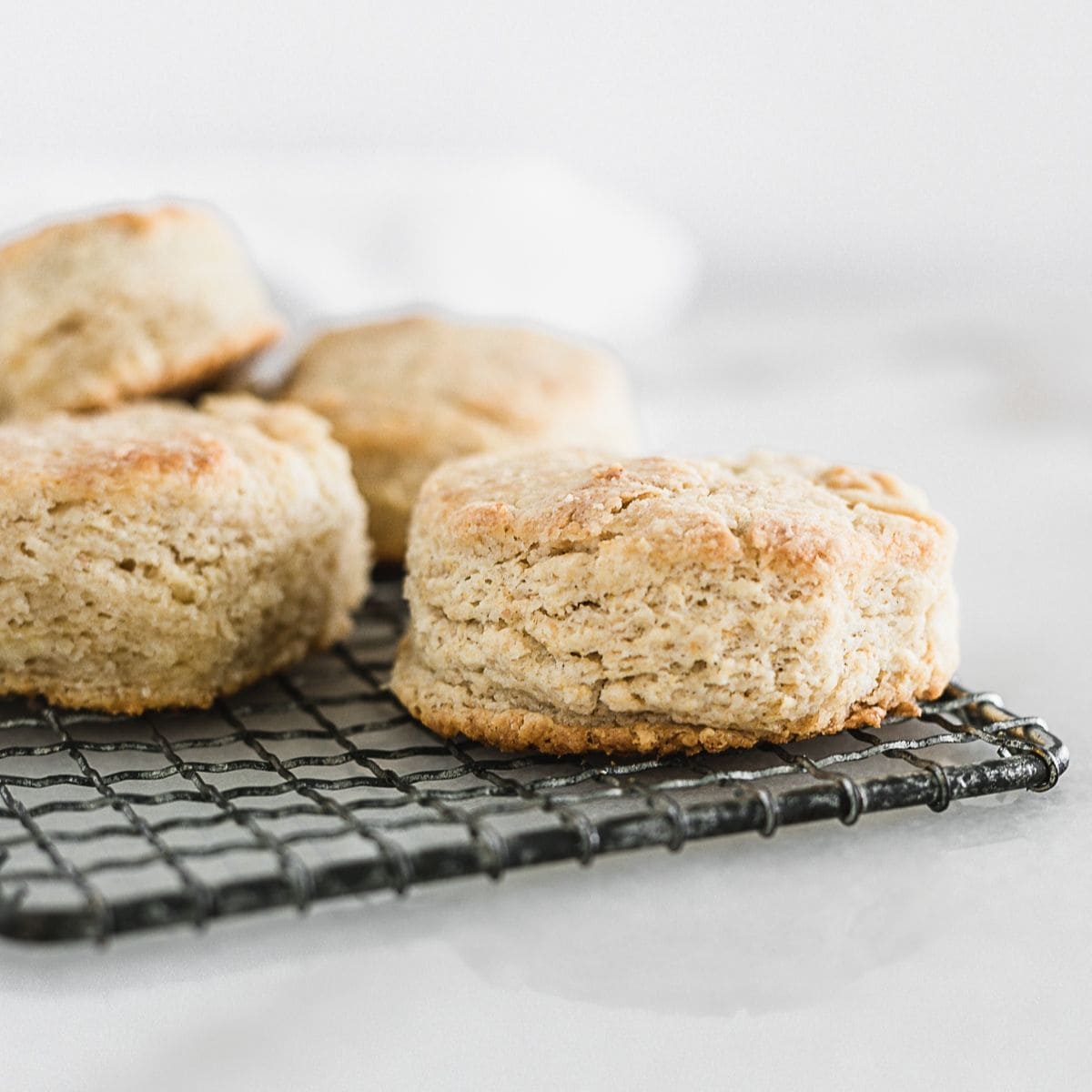 Easy Sourdough Biscuits Lively Table