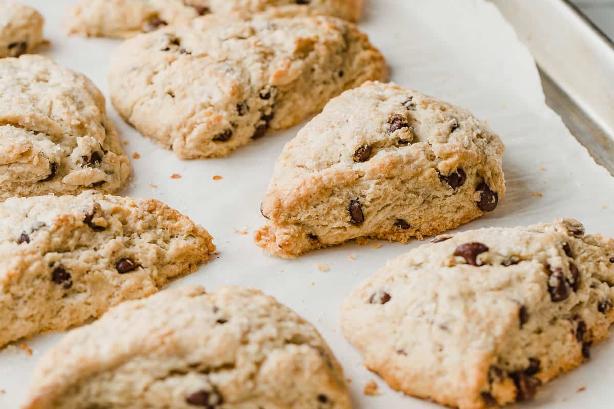 chocolate chip sourdough scones