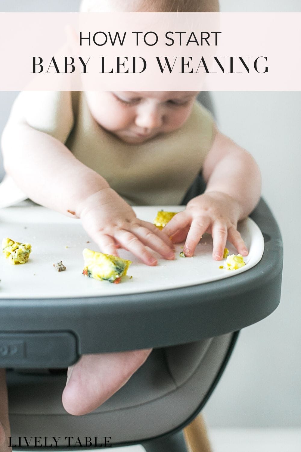 how-to-start-baby-led-weaning-lively-table