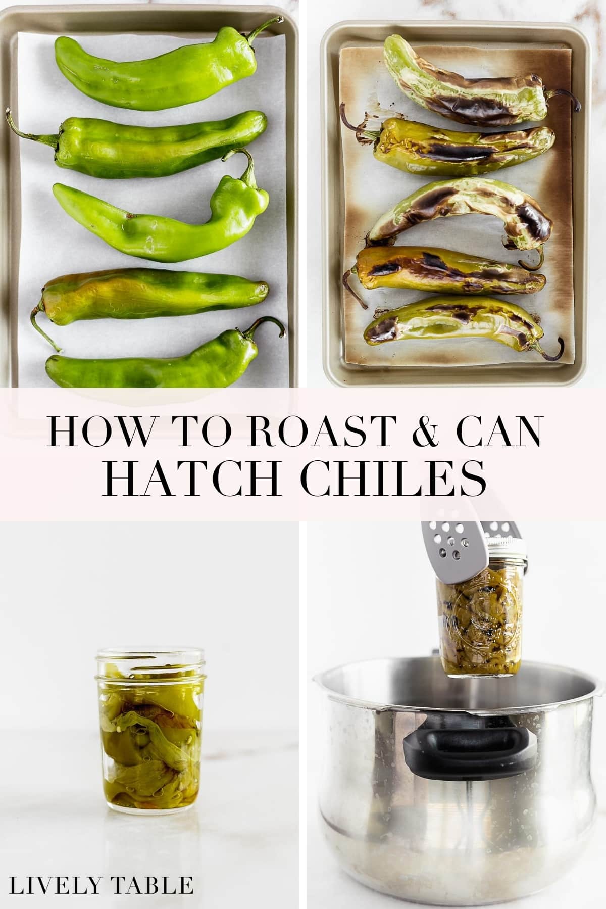 How To Roast and Can Hatch Chiles - Lively Table