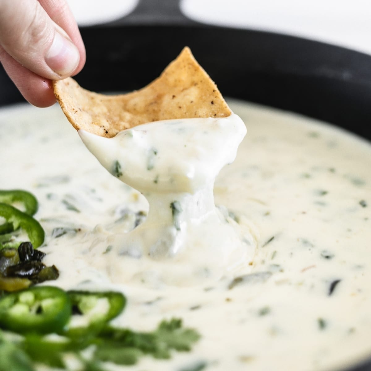 Roasted Poblano Skillet Queso Blanco - Lively Table