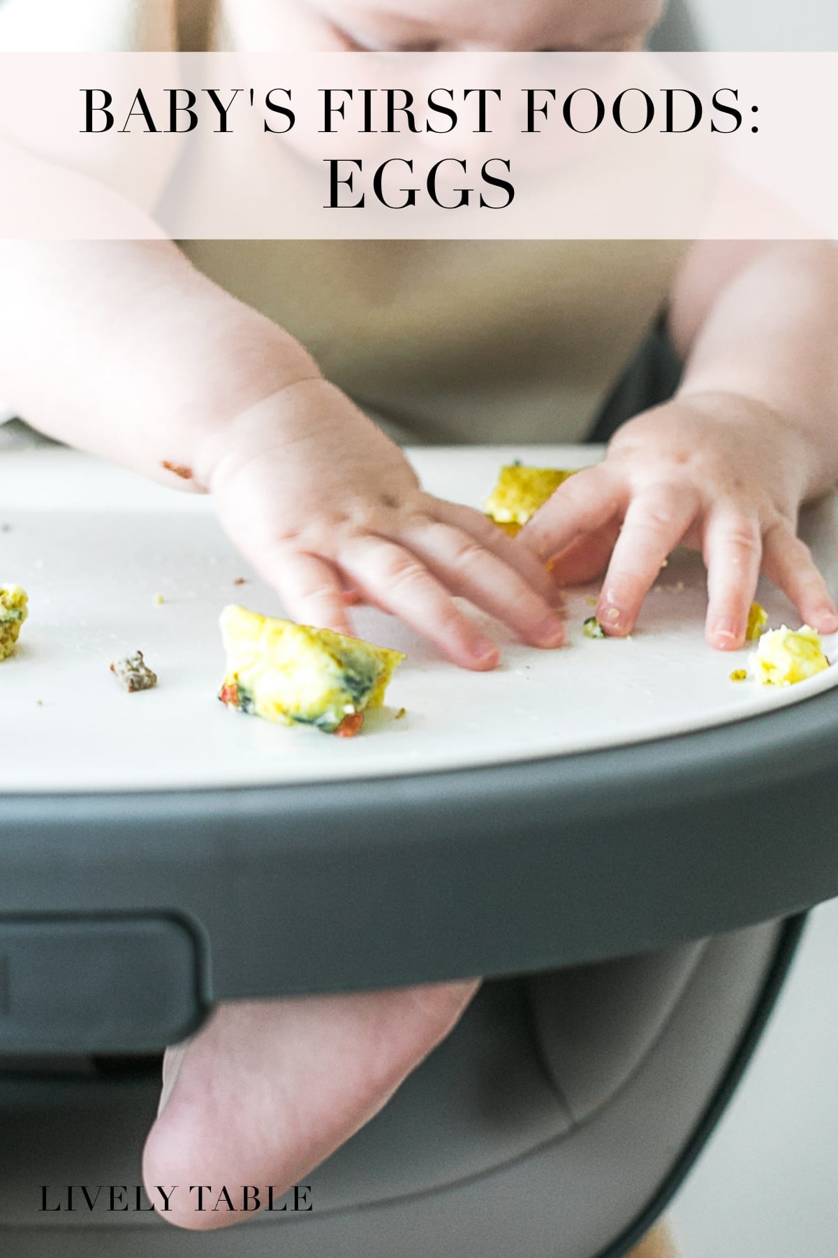 Baby's First Foods Eggs Lively Table