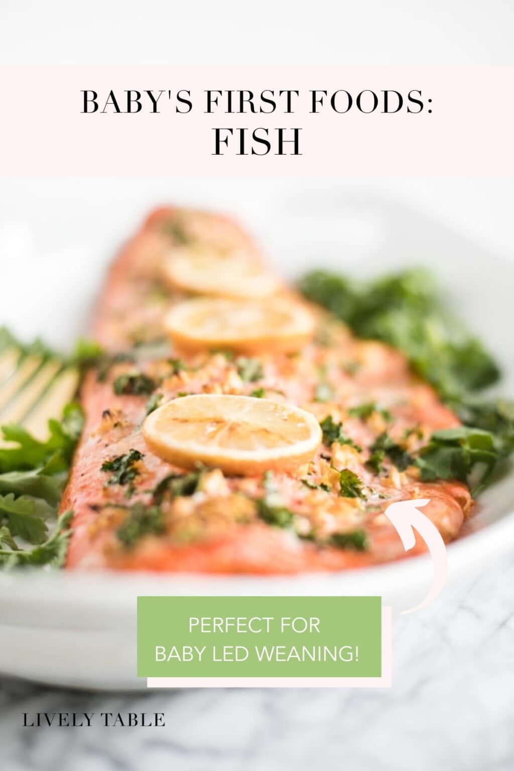 Baby's First Foods: Fish - Lively Table