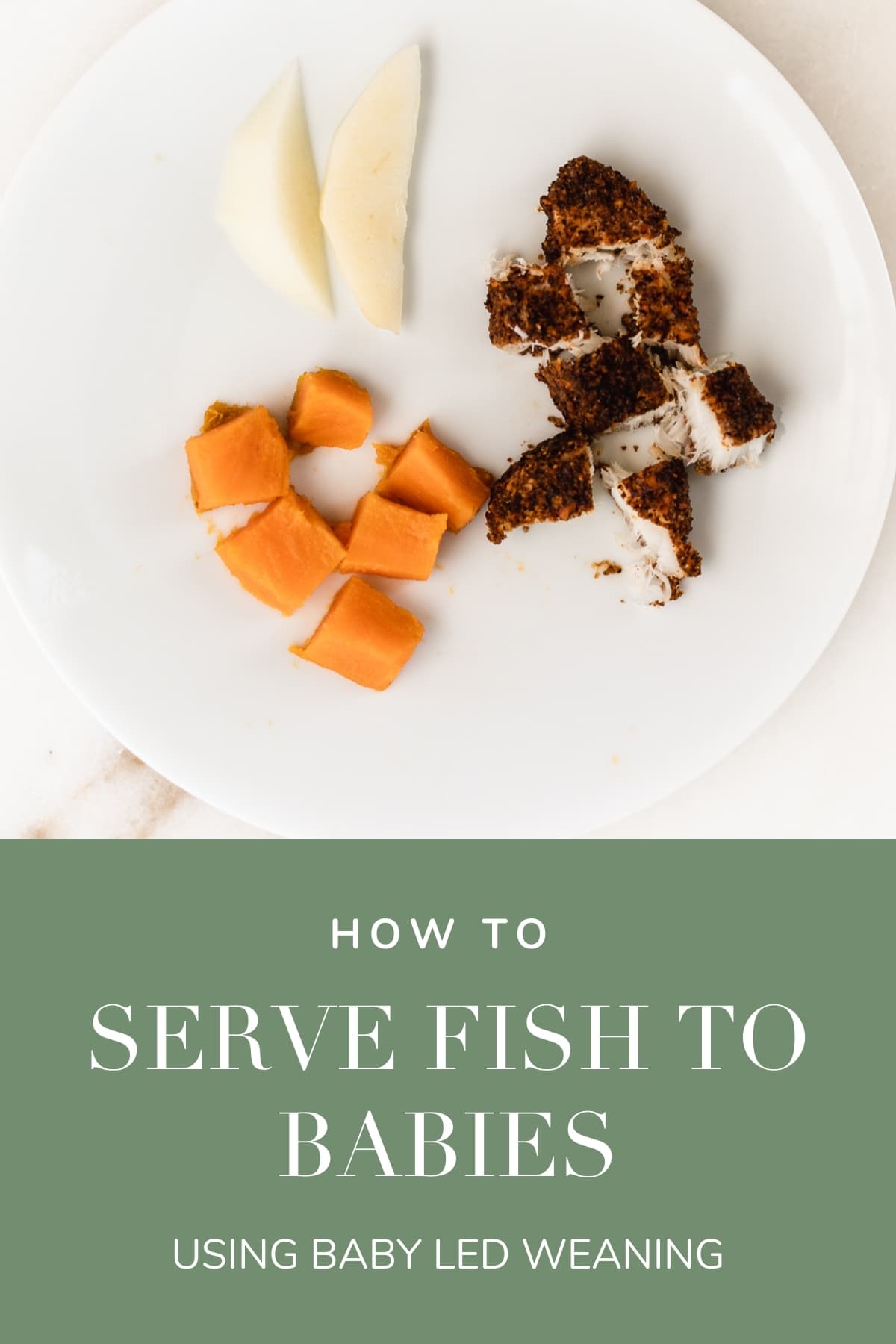 Baby's First Foods: Fish - Lively Table