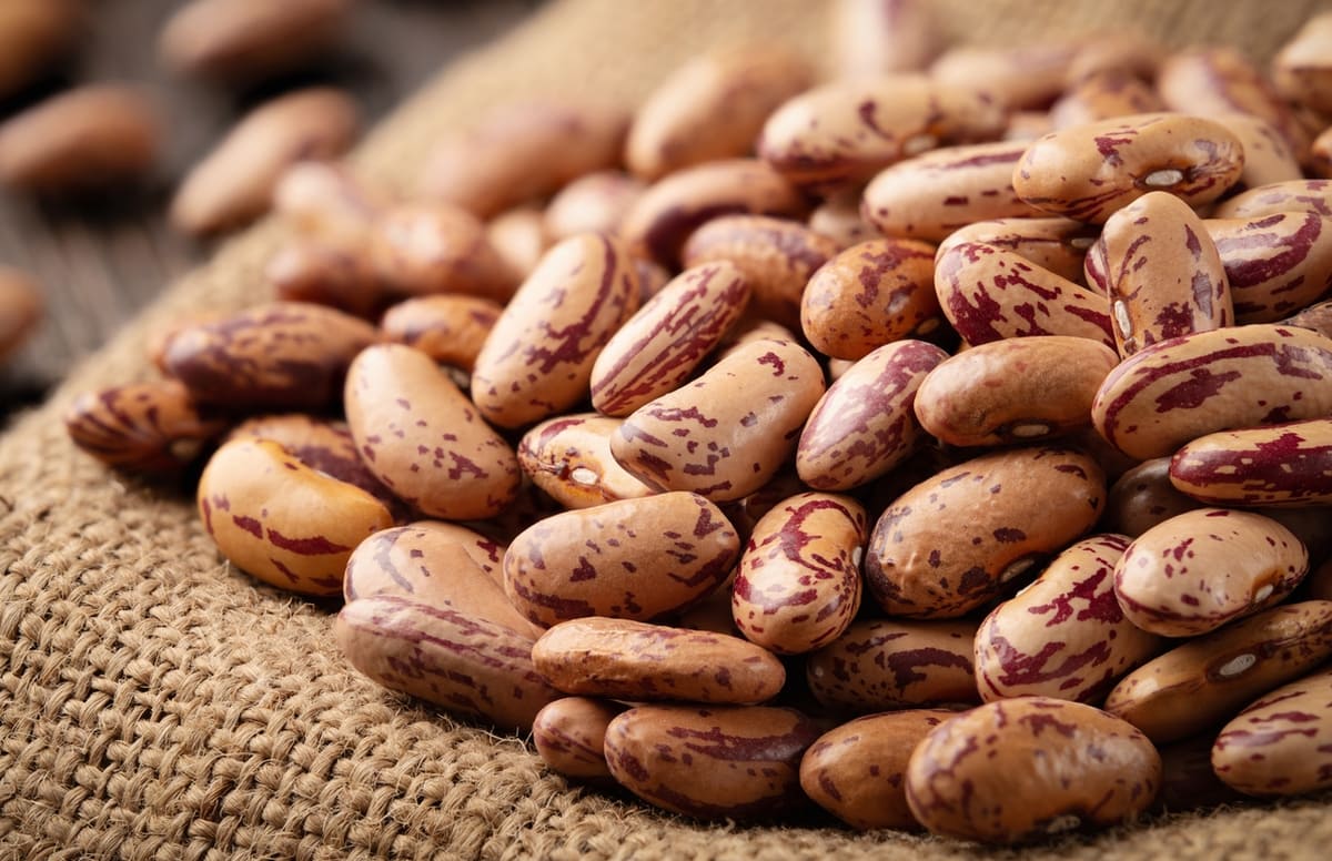 Are Pinto Beans Healthy?
