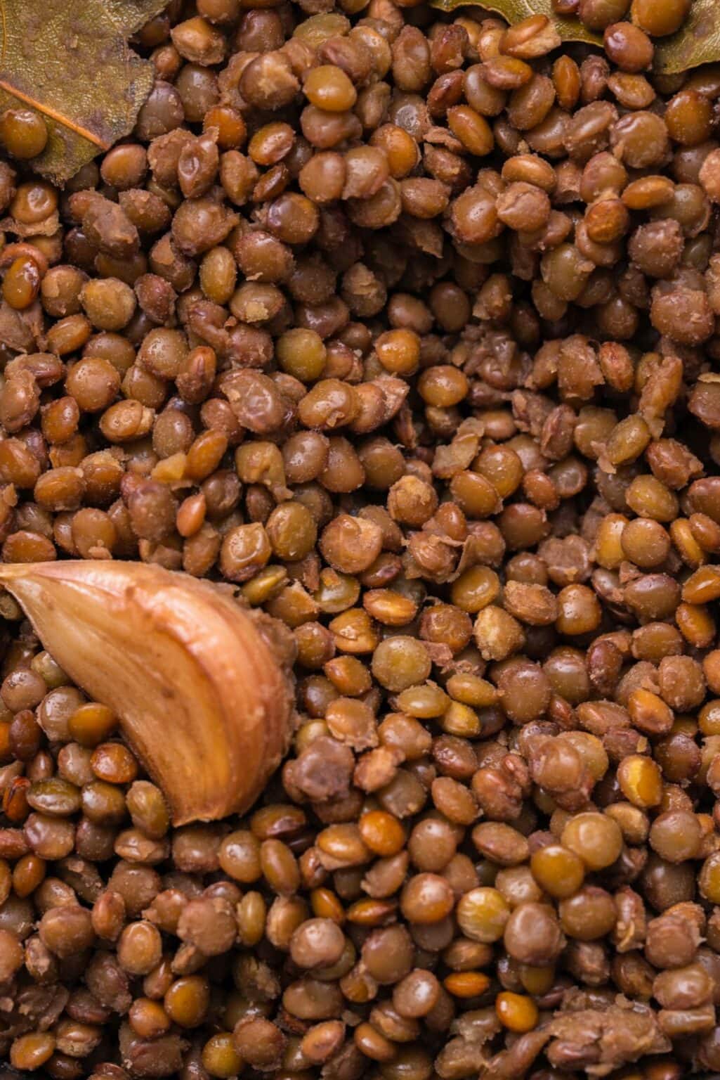 How to Cook Lentils (Stovetop and Instant Pot)