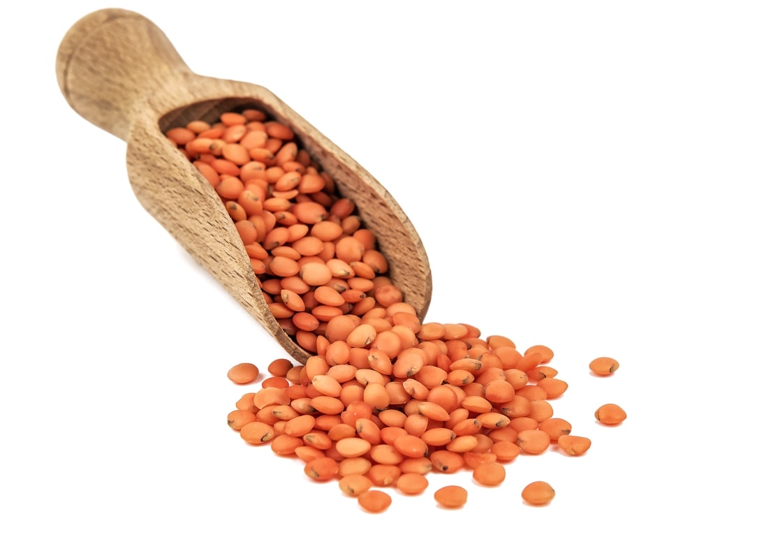 Lentils' Nutrition 