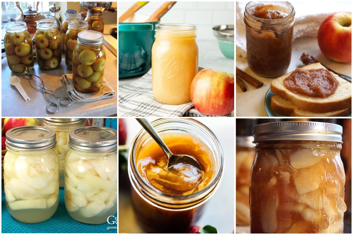 10 Apple Canning Recipes 