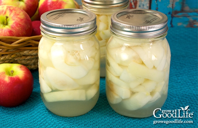 Canned Apples 