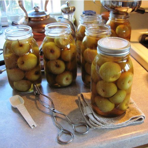 Canned Whole Apples