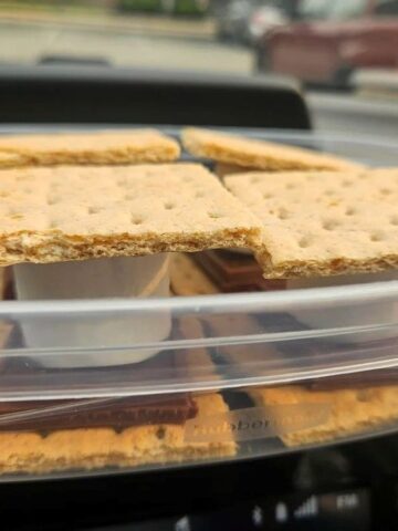 He Left S’mores on a Hot Car Dashboard and the Chocolate Actually Melted