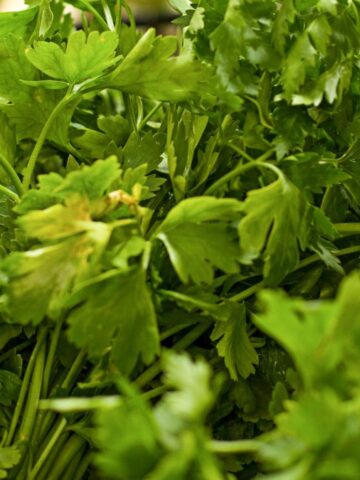 Cilantro Can Last More Than a Week, but Not Tossed in the Produce Bag