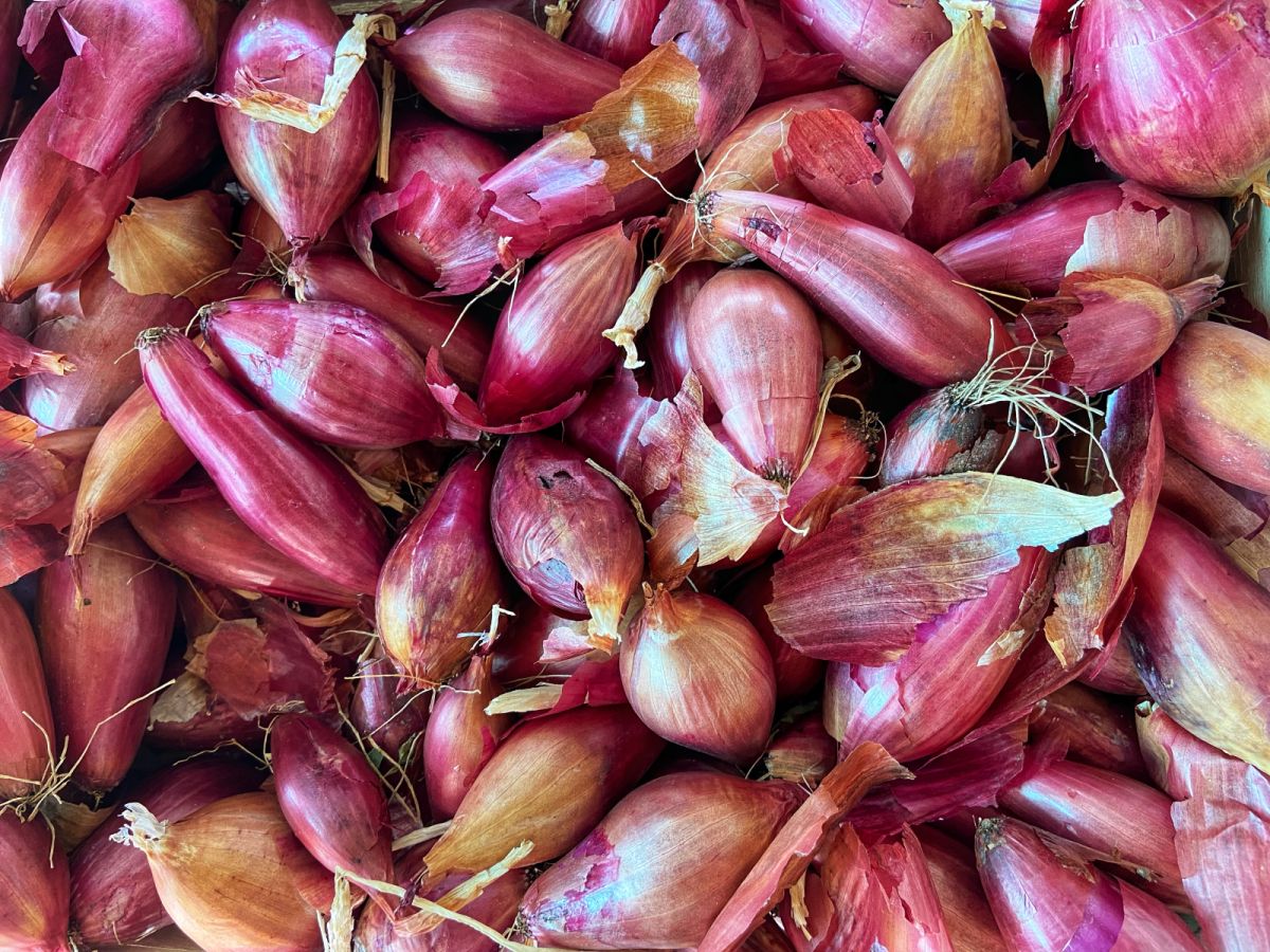 No Shallots? The Onion You Should Use Depends on What You’re Making