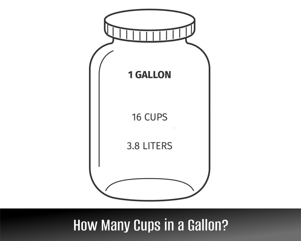 cups in gallons