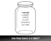How Many Quarts in a Gallon?
