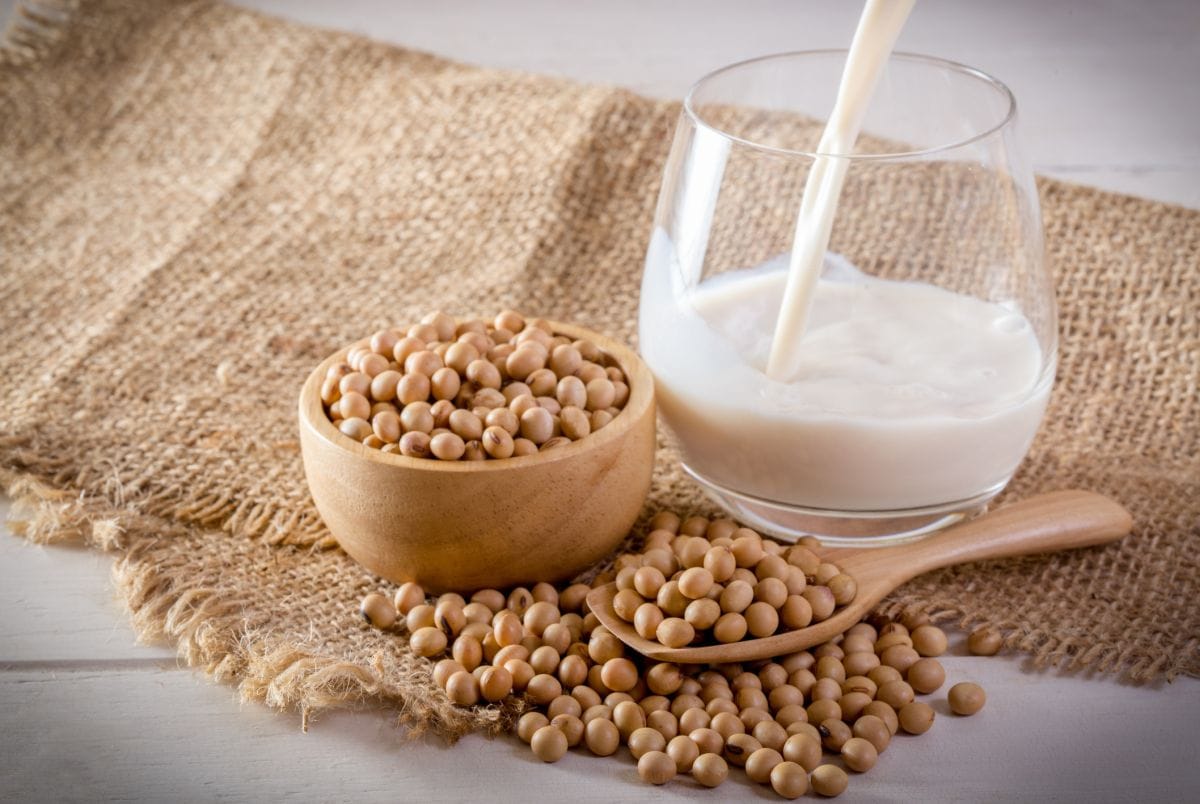 All about Soy Milk