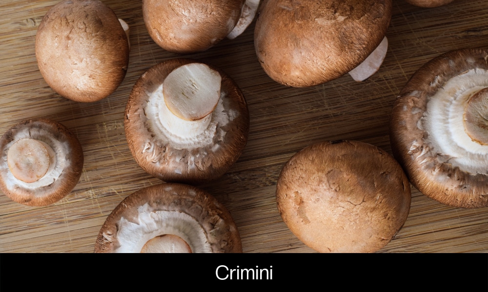 Crimini