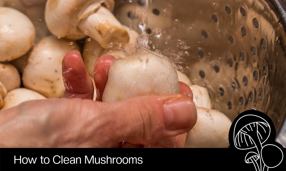 How to Clean Mushrooms