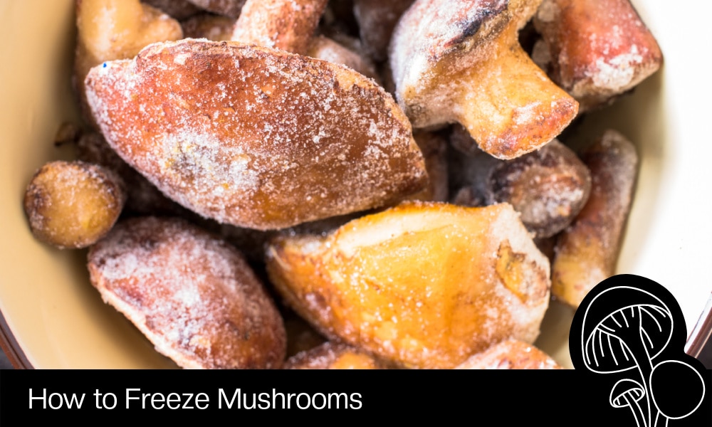 Freezing mushrooms