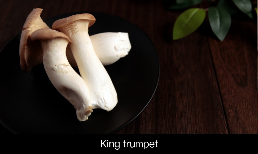 King trumpet