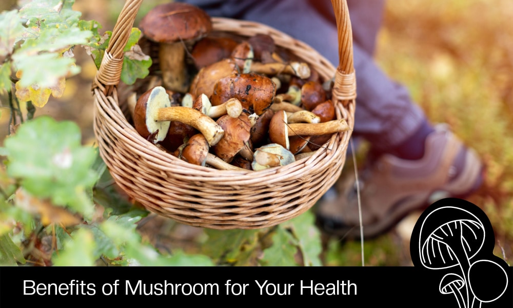 Benefits of Mushroom for Your Health