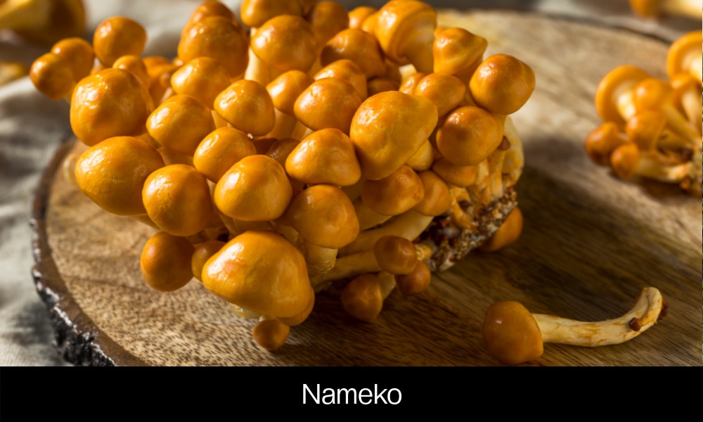 Nameko