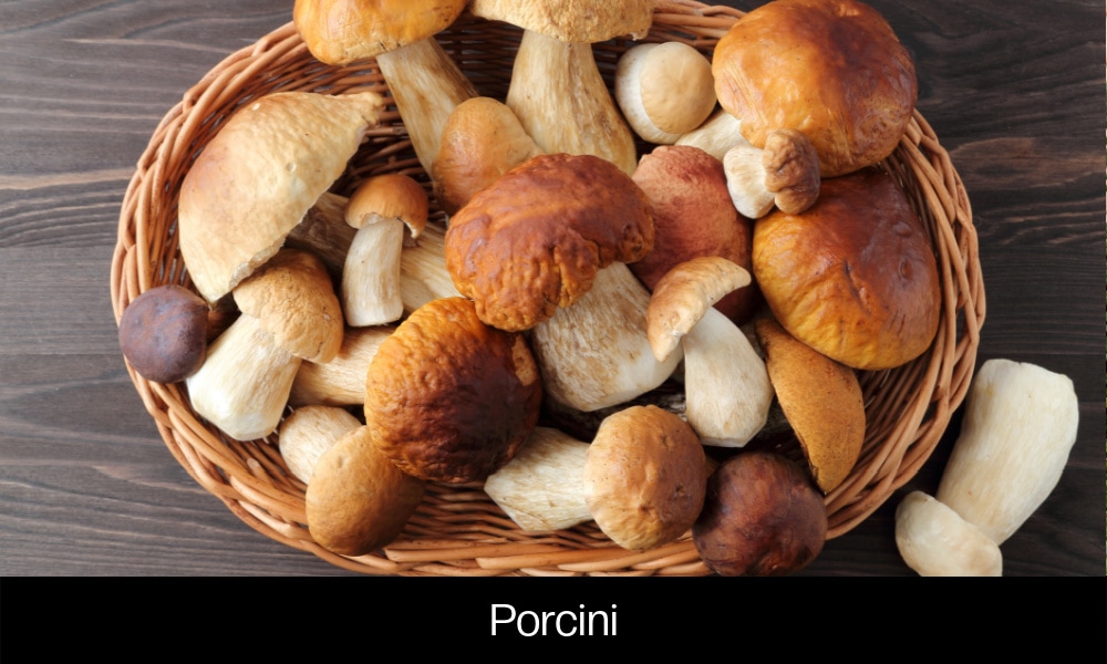 Porcini