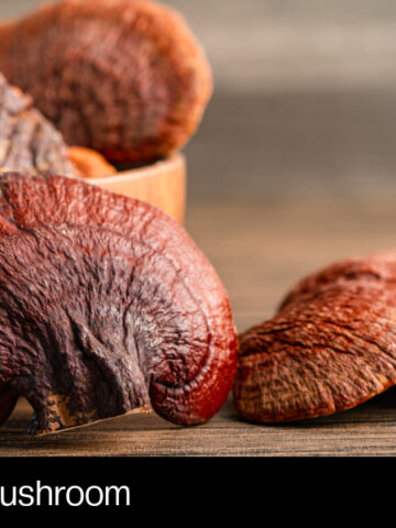Reishi Mushroom