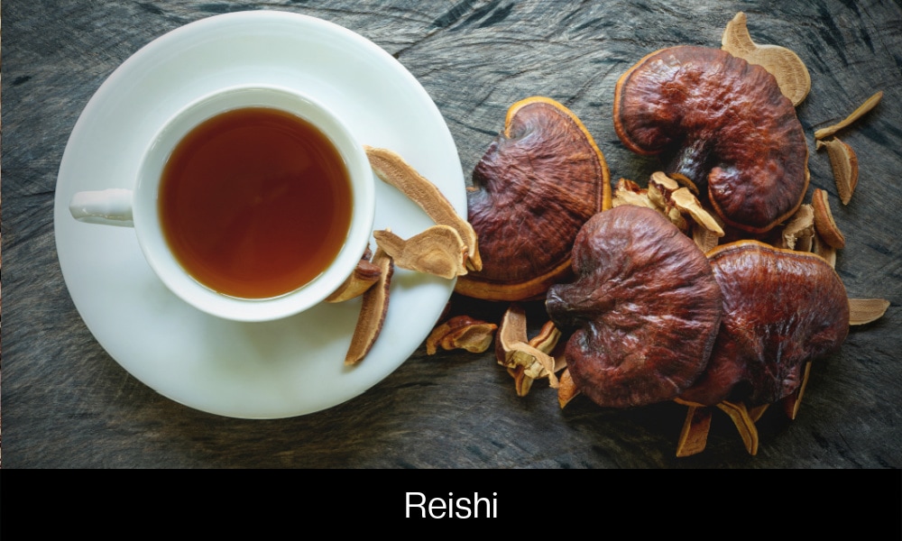 Reishi