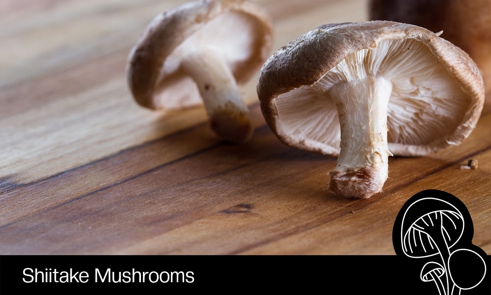 Shiitake Mushrooms