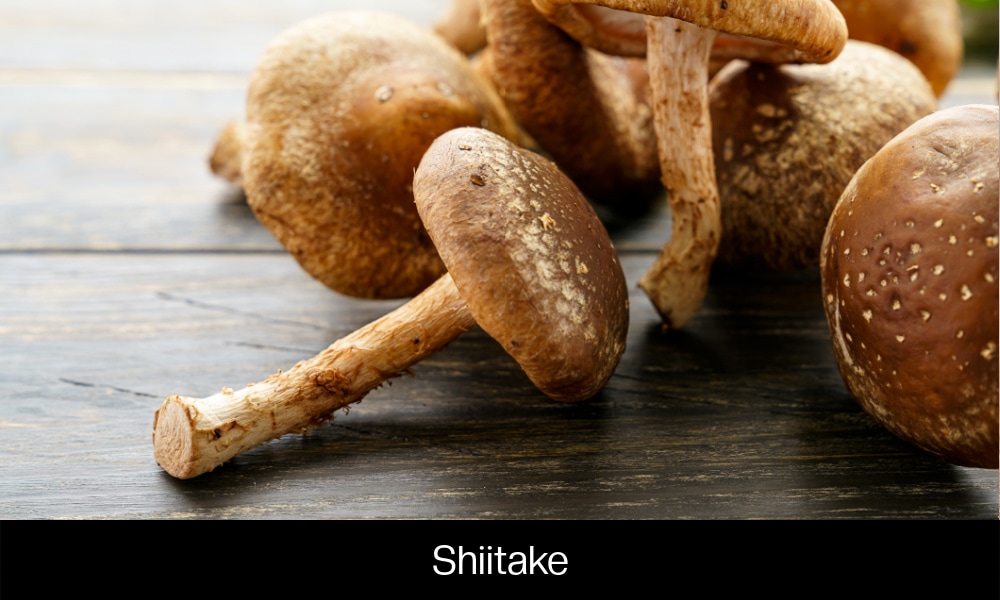 Shiitake