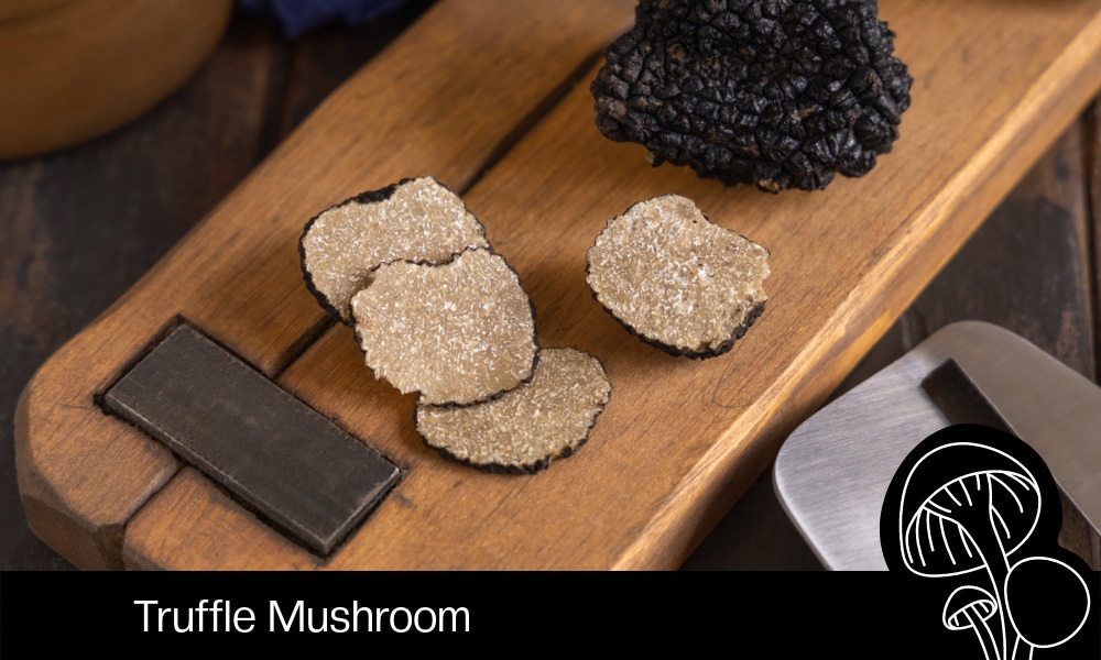 Truffle Mushroom